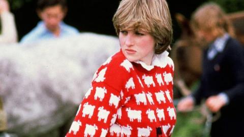 Princess Diana in a red and white sweater in front of a horse