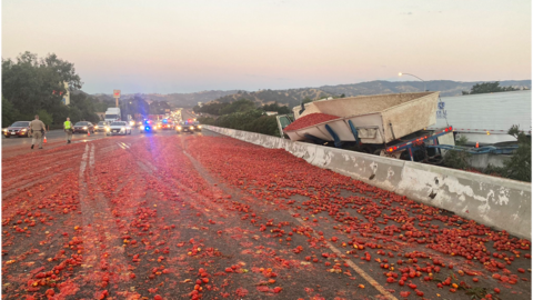 150,000 tomatoes scattered across a highway with emergency service lights in background