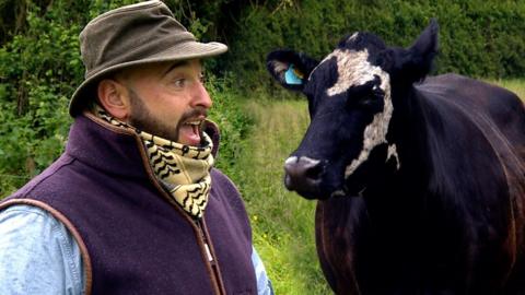 Alfonso sings to cow