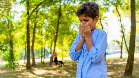 Boy standing in forest blows nose