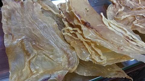 Dried swim bladders of totoaba fish