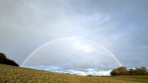 SUNDAY - Wittenham Clumps