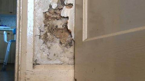 Damp wall inside Kenneth Bowen's house in Hawthorn, Pontypridd