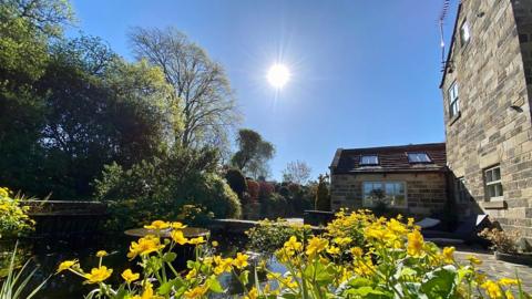 Blue skies and sunshine over a garden pond with yellow flowers in the foreground. Picture by BBC Weather Watcher 'Moorside'