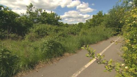 Path at Richmond Heights parkland