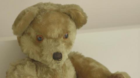 Alex Kane's bear