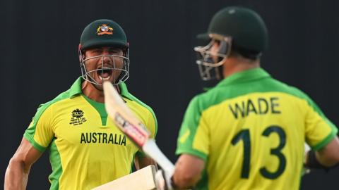 Marcus Stoinis and Matthew Wade