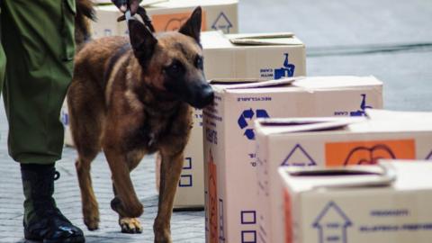 Sniffer dog in Tanzania