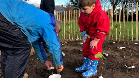 Man and child plant saplings