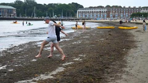 Beachgoers jumping over seaweed at Weymouth