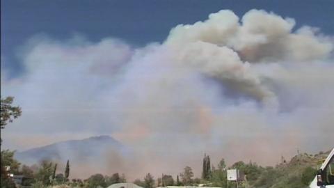 Wildfire rips through southern Cyprus