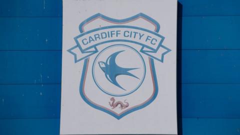 Cardiff City's 'whimsical' rebrand gamble on red - BBC Sport