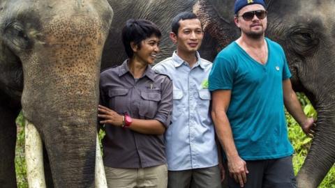 Leonardo DiCaprio (R) with elephants at Gunung Leuser National Park in Aceh, Indonesia