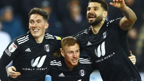 Fulham celebrate goal