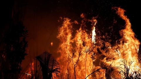 A fire burns a tract of Amazon jungle as it is cleared by loggers and farmers near Altamira, Brazil, August 27, 2019.