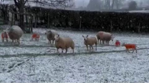 Snow in Wales Thursday 9 March