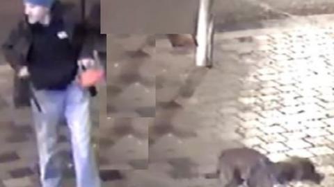 CCTV image of man man and his dog