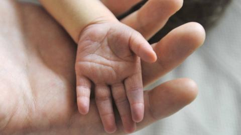 Newborn baby's hand