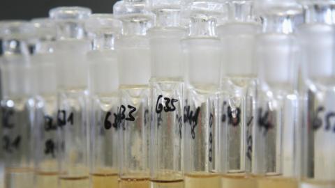 Test tubes at an anti-doping laboratory