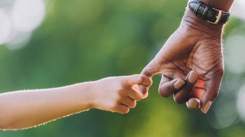 Child holding adult's hand - posed