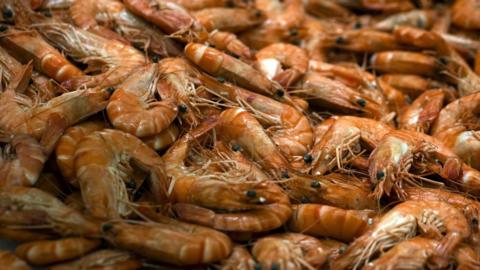 Prawns