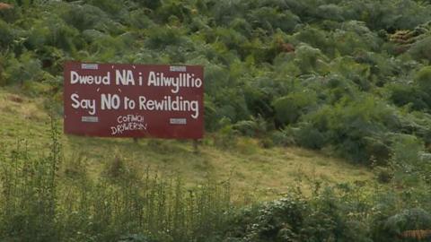 In the Cambrian Mountains there’s strong local opposition to rewilding