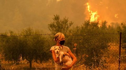 Woman holds dog as wildfires rage behind her in Greece