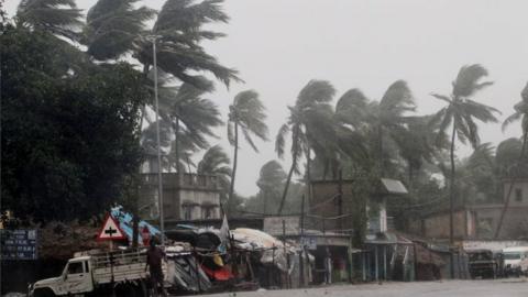 Heavy rain bends palm trees on the Orissa coast