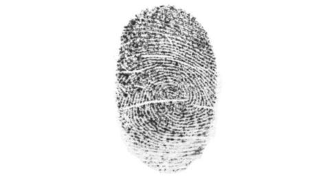 Fingerprint