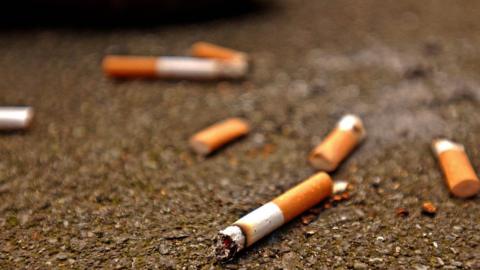 discarded cigarette buts on road