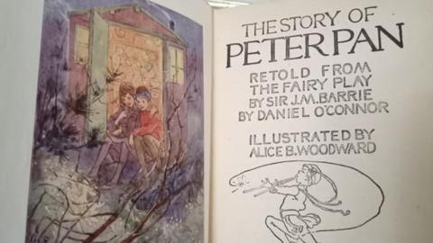 The Peter Pan book