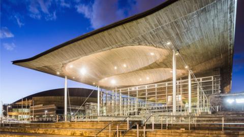 Senedd