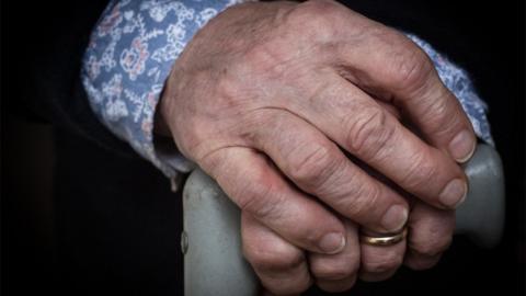 An elderly woman's hands on a walking stick