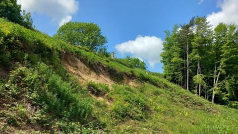 Area of landslip close to the A35 at Chideock