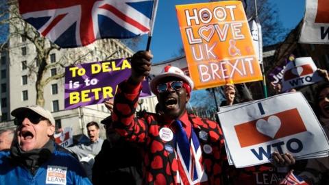 Pro-Brexit protestors