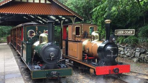 Steam locomotives Sea Lion and Brown Bear side-by-side