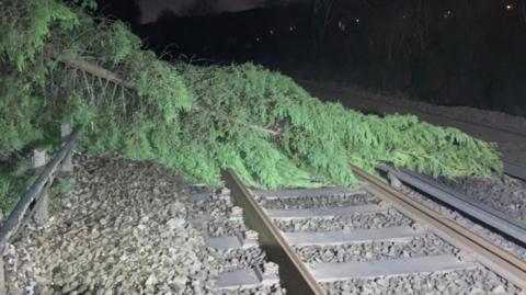 A fallen tree on a railway line