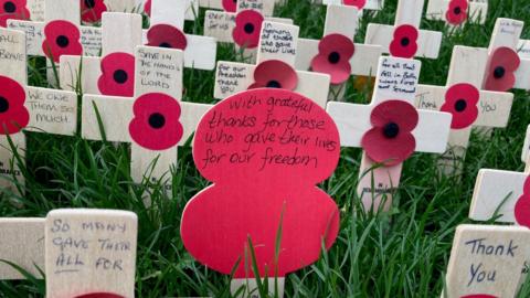 Poppies and crosses in a field of remembrance