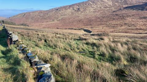 Location next to Fofanny Dam where thousands of trees will be planted on (NI) Water land