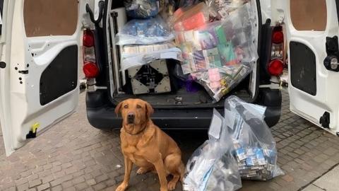 Cooper the detection dog sits in front of a van with its back doors open and bags of seized goods inside