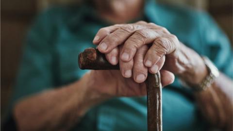 hands on walking stick