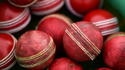 Cricket balls