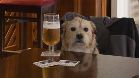 A portrait of a dog sitting at a table in The White Horse Public House, Cromer