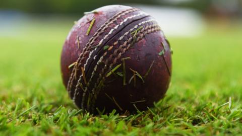 Cricket ball