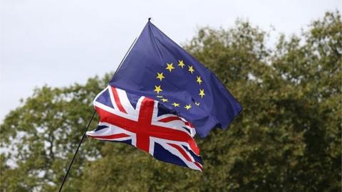 British and EU flags