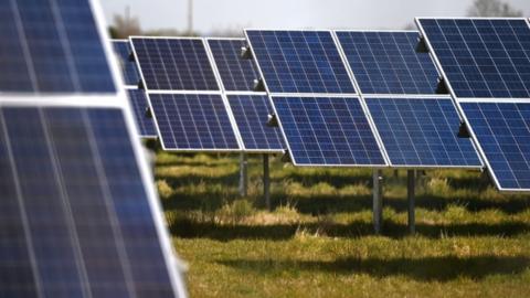 Solar panels in field