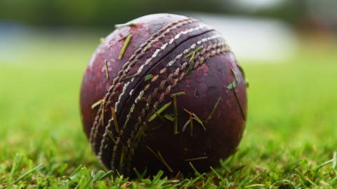 Cricket ball