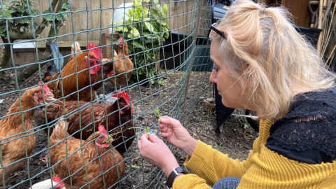 Julie Smith with her hens and cockerel