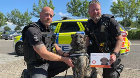 Gloucestershire Police dog and police