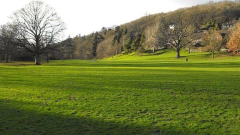 Dolerw Park in Newtown